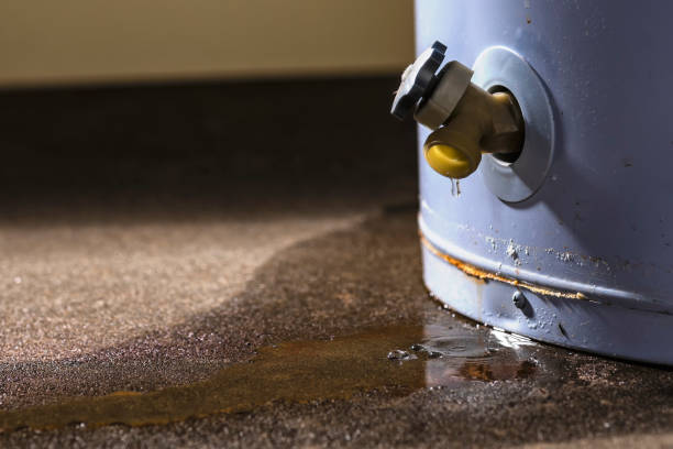 Best Mold removal after water damage  in Monticello, LA