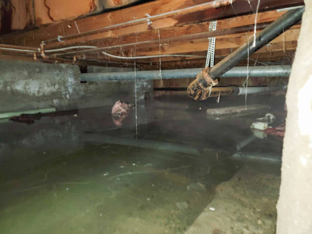Trusted Monticello, LA Water damage restoration Experts
