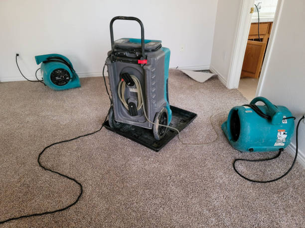 Best Flooded house restoration  in Monticello, LA