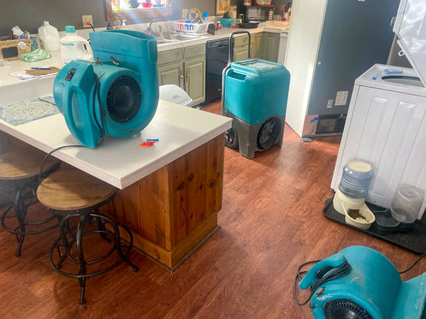 Best Water damage restoration experts  in Monticello, LA