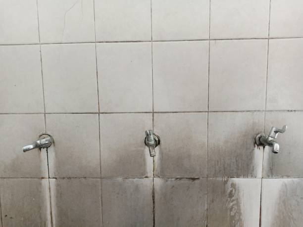 Carpet water damage restoration in Monticello, LA