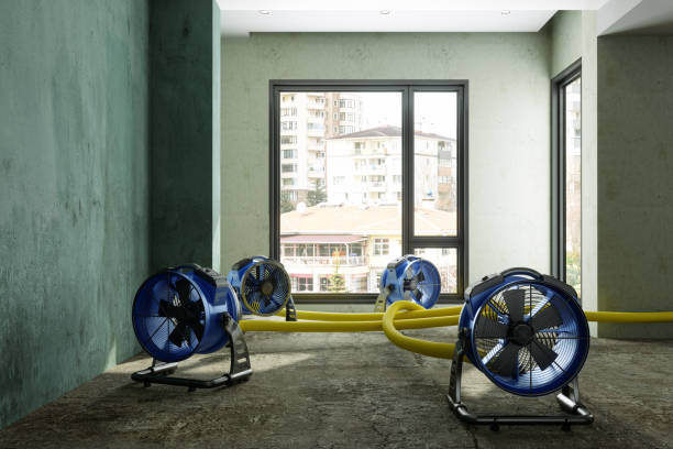 Best Commercial water damage restoration  in Monticello, LA